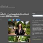 How to Make Money on Pornhub: Insights from the Blog
