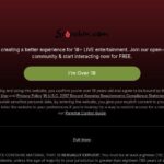 Get Expert PR for Your Adult Website with 5WPR